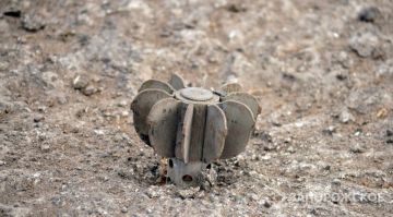 ������������ �� ����� ����������� ����� 2,6 ���