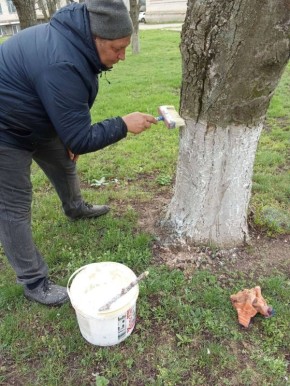 Субботник в Долинском. На этой неделе сотрудники Дома культуры села Долинское провели масштабную уборку прилегающей территории