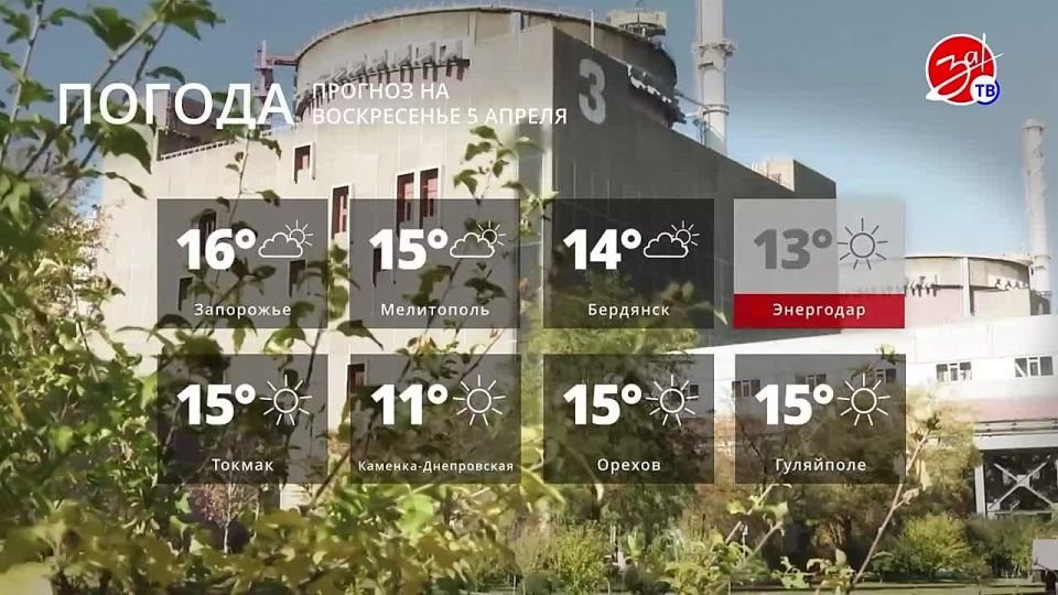 ������� ������ �� ����������� 5 ������