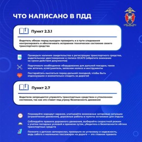 Безопасное автопутешествие: что нужно знать, чтобы поездка в отпуск на автомобиле была безопасной и комфортной