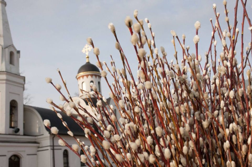 ������� ��������: ������� ������ ����������� �������, ������� �������!