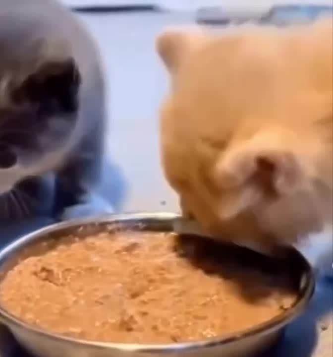 ���������� �� ���� ���. ��� ������, ����� ���������, �� �� ���������