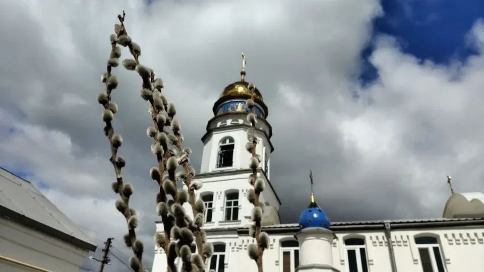 Виктор Емельяненко: Сегодня мы отмечаем Вербное воскресенье