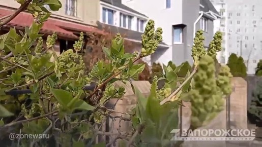 ������ ������ ����������, ����� ���������