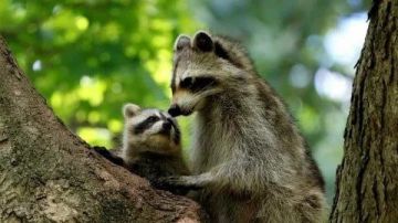 Доброе утро, друзья! Хорошего вам дня и отличного настроения!