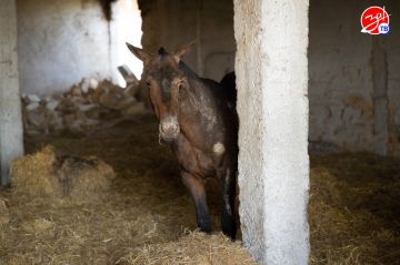 ���������� �� ������� �������� � ����������� �������, ����� ������ �������, ������� ���������� � ���������� �������� ���