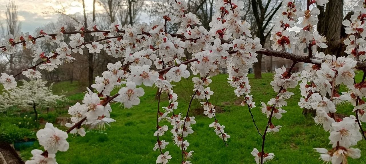 С Добрым утром Днепрорудное