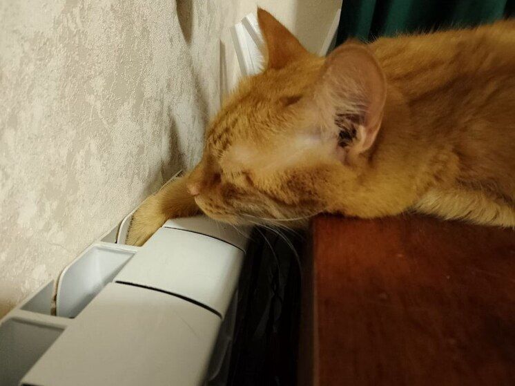 � ����������� ������� ������������� 952 ������������ � ������������ ������