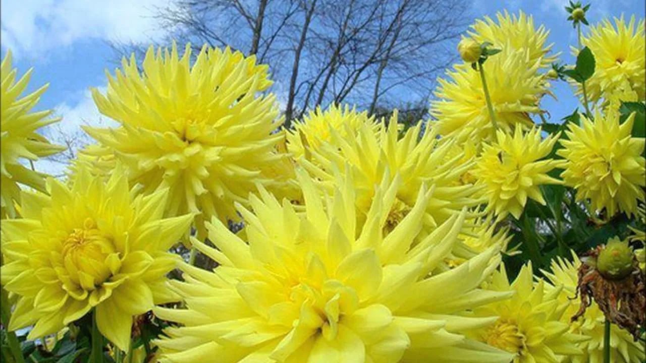 Доброе утро. А вы знали, что сегодня