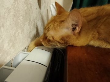 � ����������� ������� ������������� 952 ������������ � ������������ ������