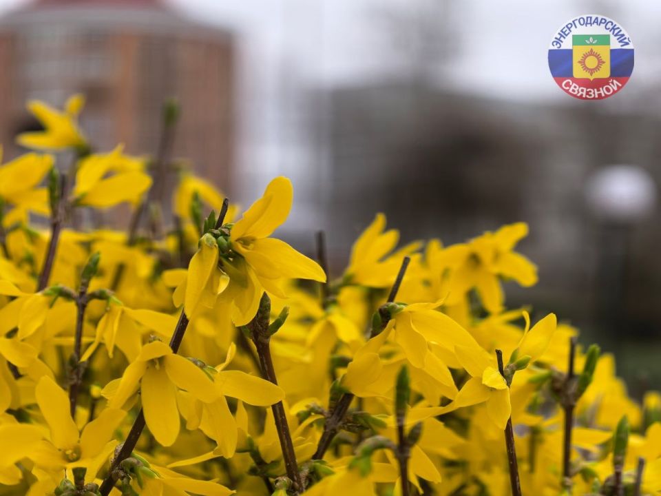 ������ ����. ������, ����� ������� � ��� ���� ����� ���, �������� ���������� � ����������� �������