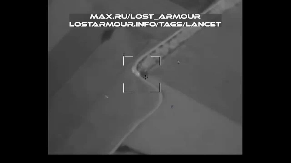 ���� ����� ������. ��� ����������� International Maxx Pro ��� ���������� ��������� �� ����������� �����������