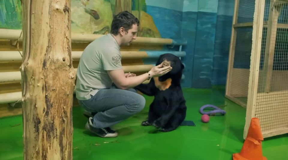 � ��� �������� ����? ����� ��������� ���� ������������ �����