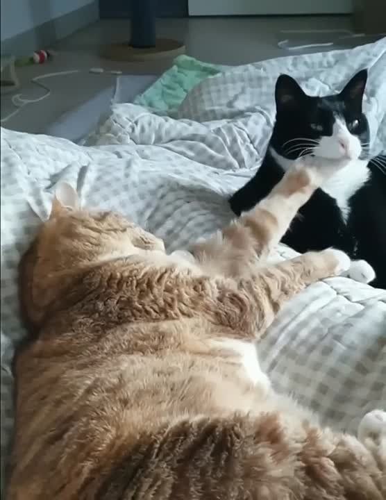 ��������� ����� ������ � ����������