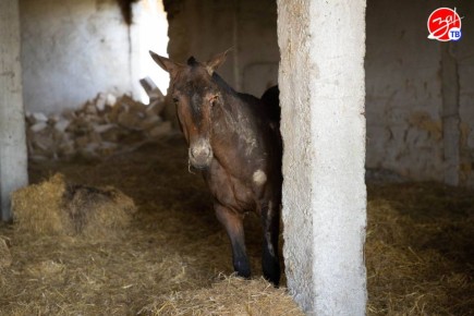 ���������� �� ������� �������� � ����������� �������, ����� ������ �������, ������� ���������� � ���������� �������� ���