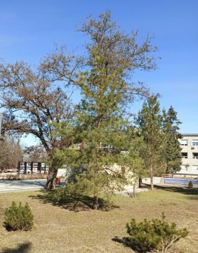 ������ ��� ������� ����! ����� ����� ���� ���������� ����� � � ���������� �����������! ������ ������������ ���, ���������� ������������ �����, �������� � �������!