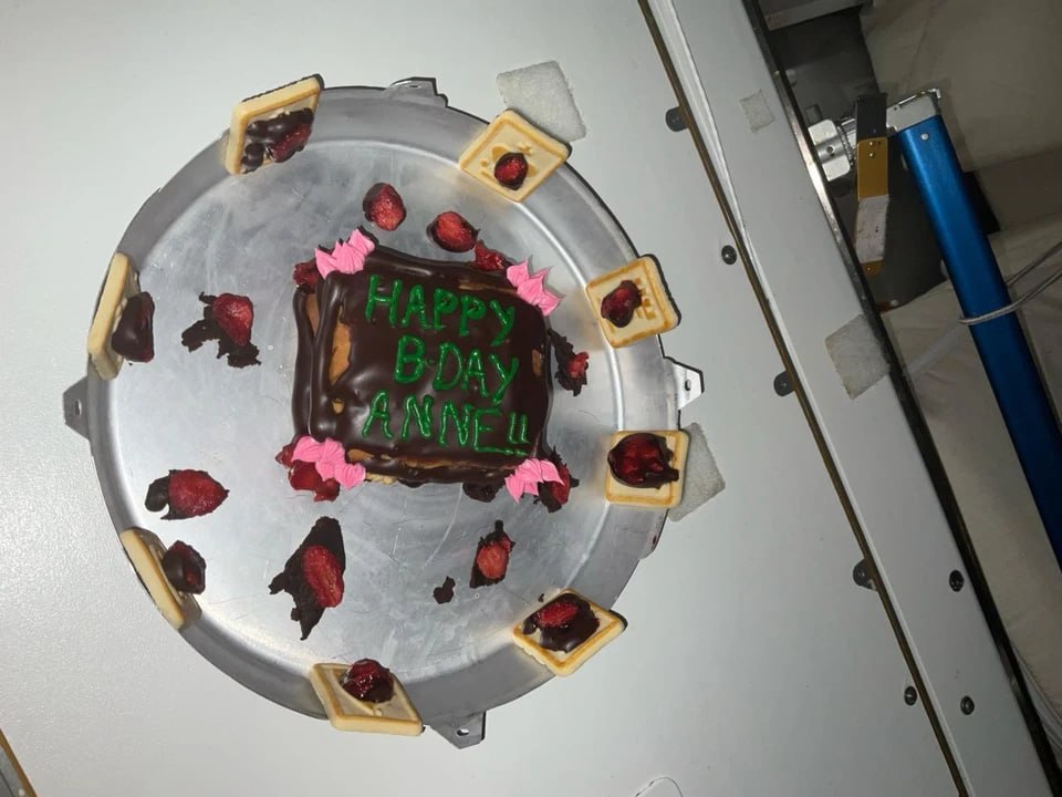 Оливье из японских яиц и шоколадный сыр: Космонавт поделился, чем питается на орбите