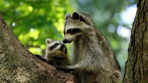 ������ ����, ������! �������� ��� ��� � ��������� ����������!