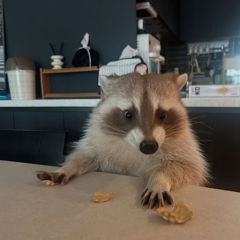 ������ ����, ������! �������� ��� ��� � ��������� ����������!