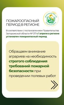 � ������������ � �������������� ������������� ����������� ������� �317 � 1 ������ � ������� ���������� ������������� ������