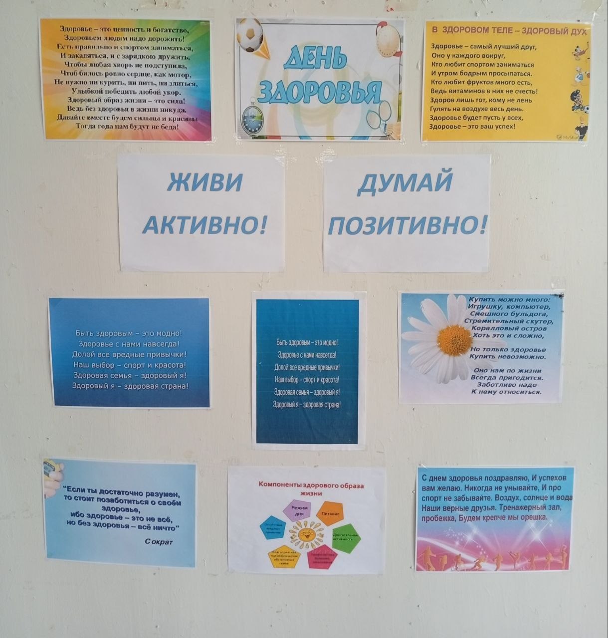 Всемирный день здоровья - это важный праздник для каждого, кто заботится о своём благополучии, здоровом теле и крепком духе