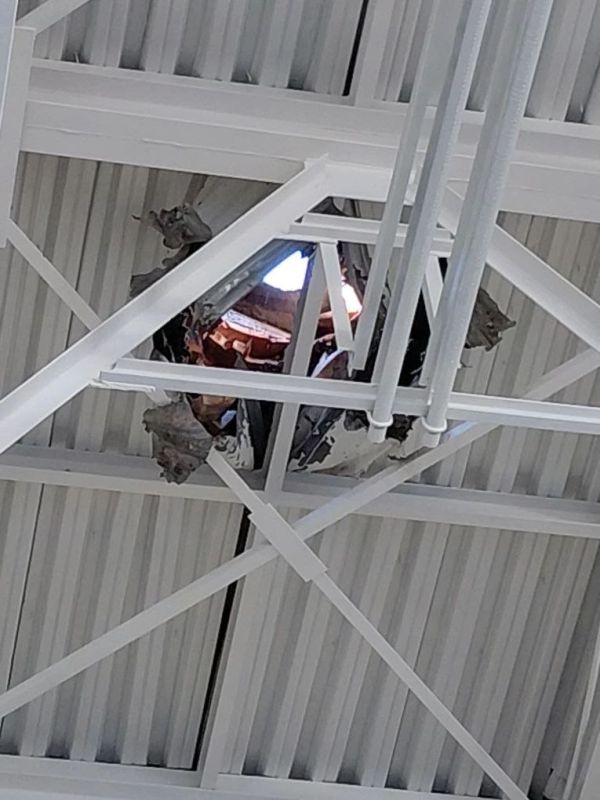 ������ �����: ������� ���� �������� ������ ���������-���������������� ��������� � 1 ����������� ����������