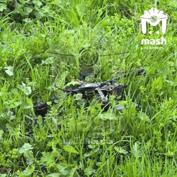 ��� ���� �� ���������� ������, ������� ������� �������� ����� � ������ � ����������� �������