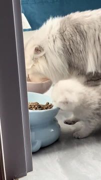 ��� � �����. ������� ����� ������ � ��������