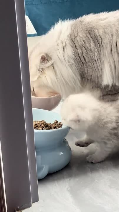 ��� � �����. ������� ����� ������ � ��������