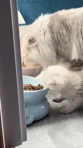 ��� � �����. ������� ����� ������ � ��������