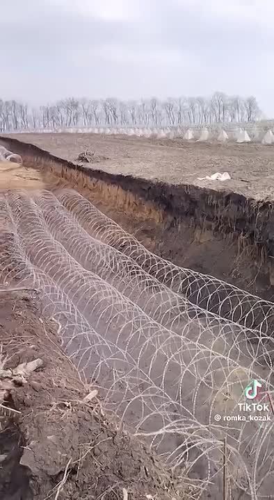 � ����������� ������� ���� ����� ����� ���������� ����� �������������� �����