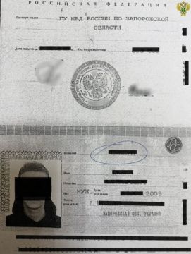 В Мелитополе несовершеннолетний «дроппер» осужден к обязательным работам за помощь в хищении денег у пенсионеров