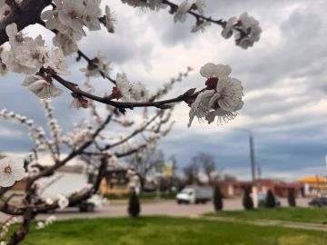 Доброе утро. Подписывайтесь на канал администрации в MAX