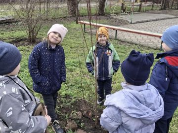 В Бердянске началась экологическая акция «Классное дерево»