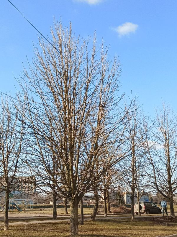 � ������ �����!. ������ ���� � ������ � ����� ����