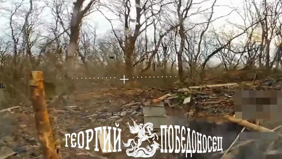 ������ ������ ���������� ������ �� �� �� ����-���������������� �����������