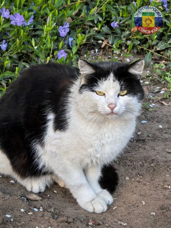 ������ ����. ���������� ����� �������� ����!