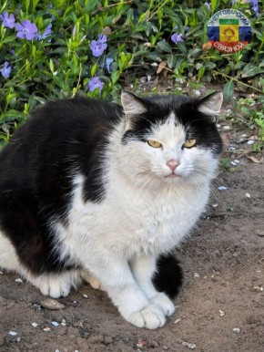 Доброе утро. Начинается новый трудовой день!