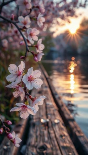 �������� ��� ������!