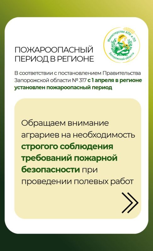 � ������������ � �������������� ������������� ����������� ������� �317 � 1 ������ � ������� ���������� ������������� ������