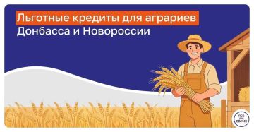 Сельхозтоваропроизводители Запорожской области могут воспользоваться программой льготного кредитования АПК, реализуемой ПСБ совместно с Минсельхозом России