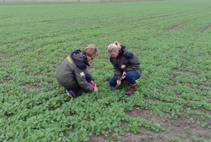 В Запорожской области после необычного для региона продолжительного периода низких температур пришла долгожданная весна