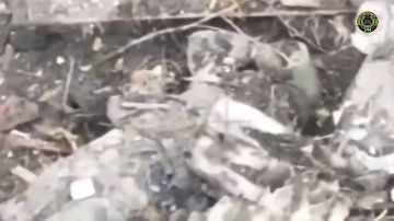 ����� 344 ��������������� ����� ��������� ���������� ������ ���� ����� �� ����� ������� "���� ���"