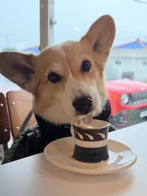 ����� � ��������� �������. ���� ����, �������� � ������ �� ������