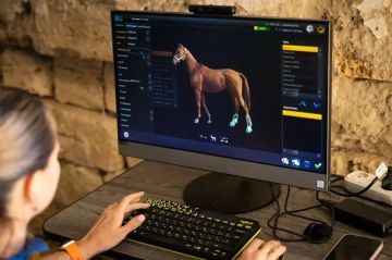 Евгений Балицкий: Ветеринары из Ростовской области прибыли в Запорожскую область, чтобы помочь лошадям, пострадавшим от обстрелов со стороны ВСУ