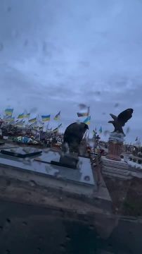 Винница, одно из многочисленных кладбищ порожденных евромайданом