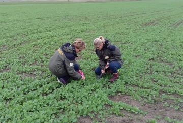 В Запорожской области после необычного для региона продолжительного периода низких температур пришла долгожданная весна