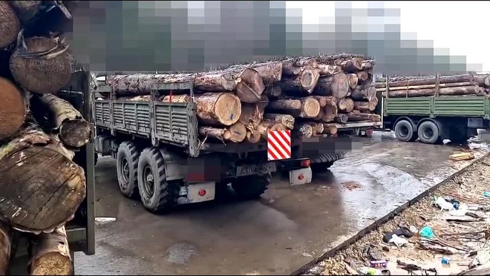 ������ �������: ��������� ��� ������ ���: ����� �� ����� �� �������� ����������� �� ������ ��������� 1057 ���������� ��������