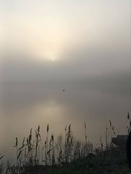 Друзья, доброе утро!. Начинаем новый рабочий день с верой в лучшее и стремлением выложиться сегодня по максимуму