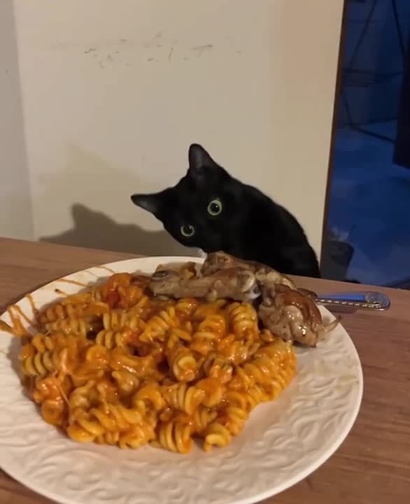 ���� ��������. ���������� ������� � ��������